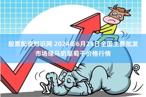 股票配资知识网 2024年6月29日全国主要批发市场绿马奶葡萄干价格行情