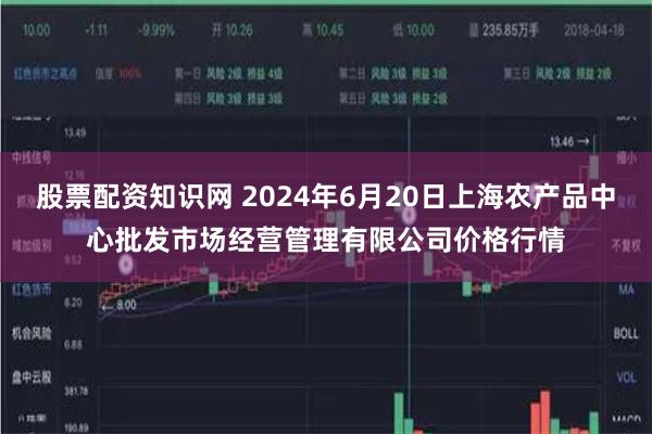 股票配资知识网 2024年6月20日上海农产品中心批发市场经营管理有限公司价格行情