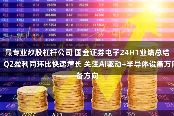 最专业炒股杠杆公司 国金证券电子24H1业绩总结：Q2盈利同环比快速增长 关注AI驱动+半导体设备方向