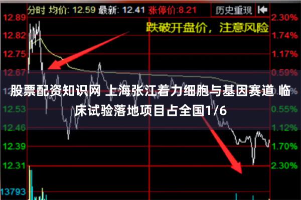 股票配资知识网 上海张江着力细胞与基因赛道 临床试验落地项目占全国1/6